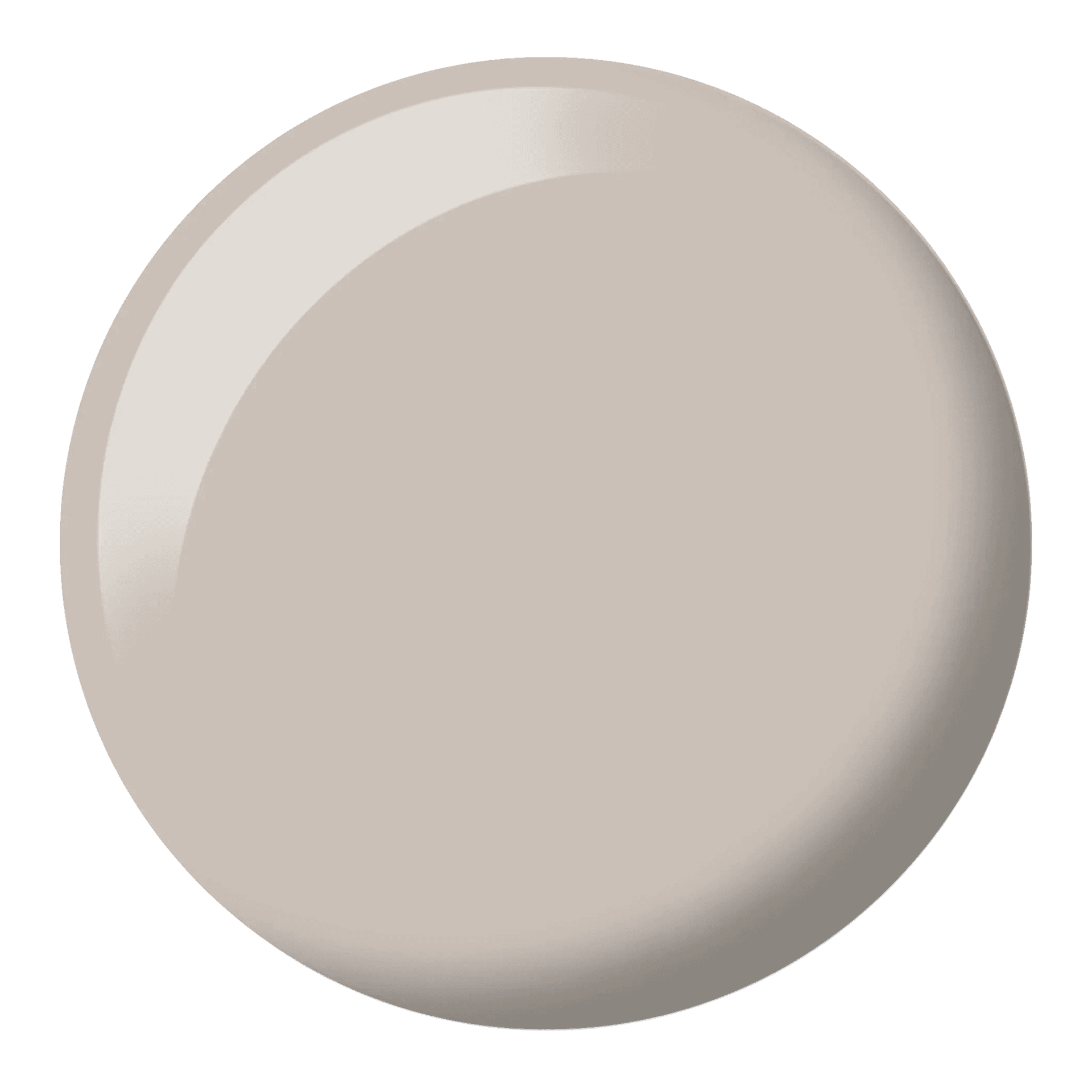 Cool Gray #604