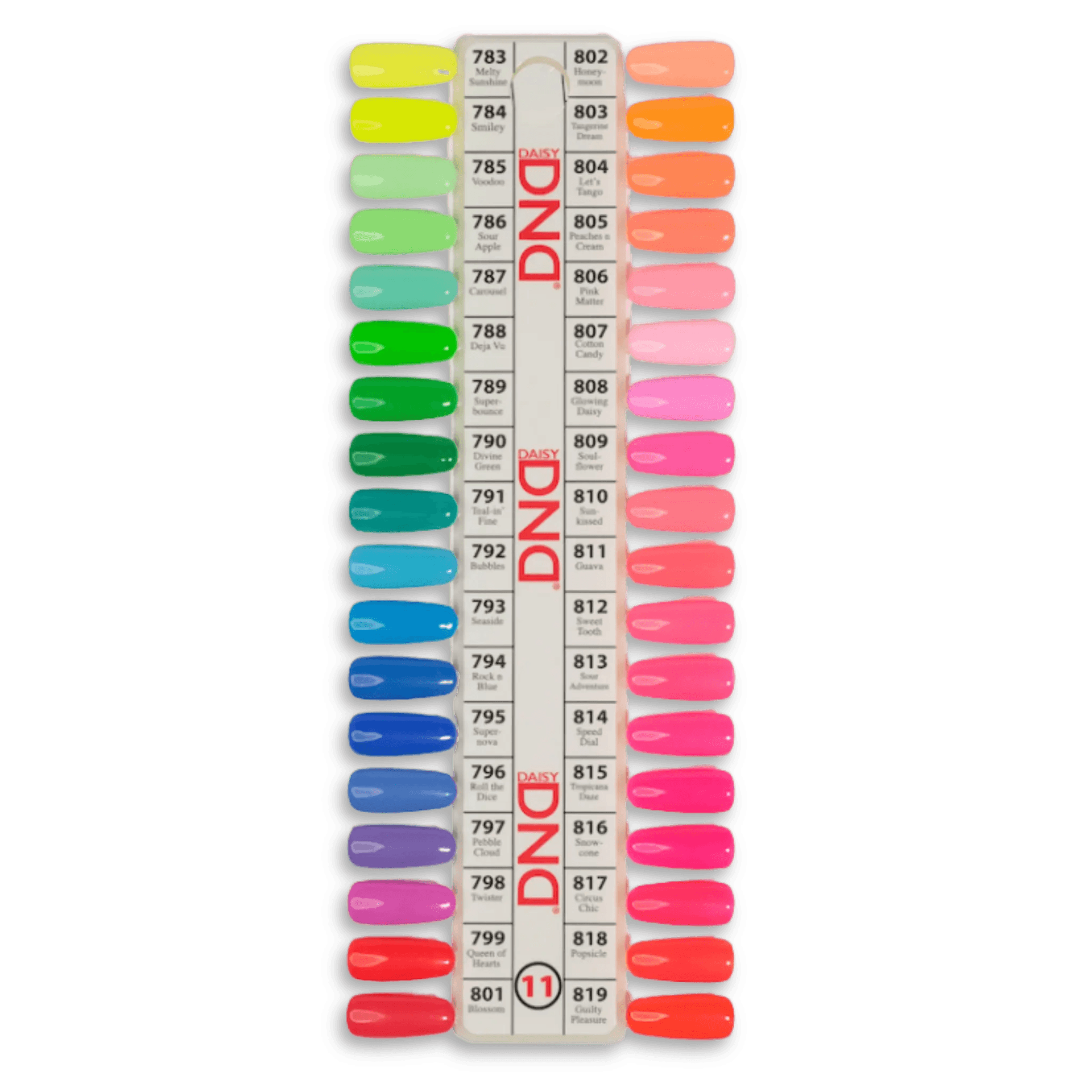 DND Thrill Ride 2022 Swatch- Single - 11